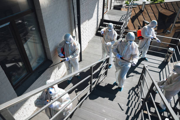 Best Comprehensive Air Testing for Mold Contaminants  in Fair Oaks, CA