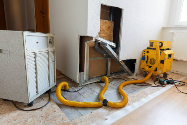  Fair Oaks, CA Mold Removal Pros
